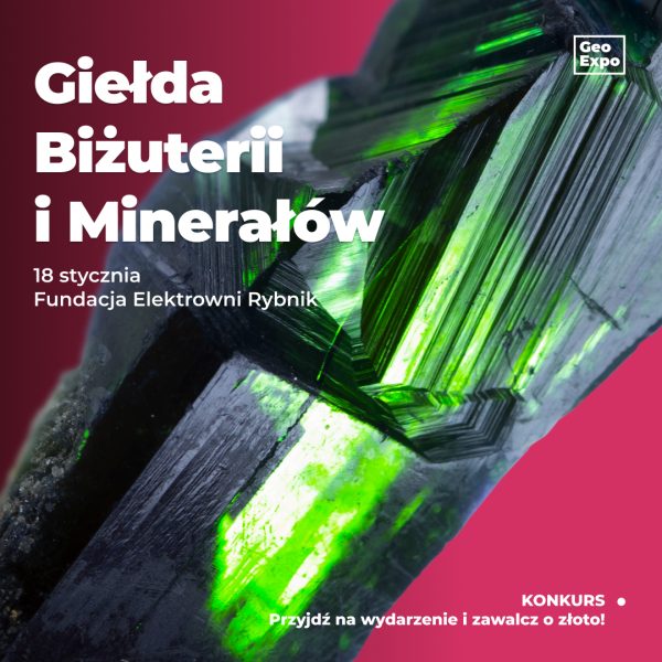 GeoExpo Rybnik