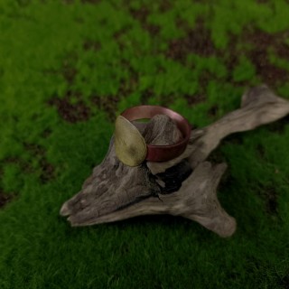 Pierścień miedziany Koleas